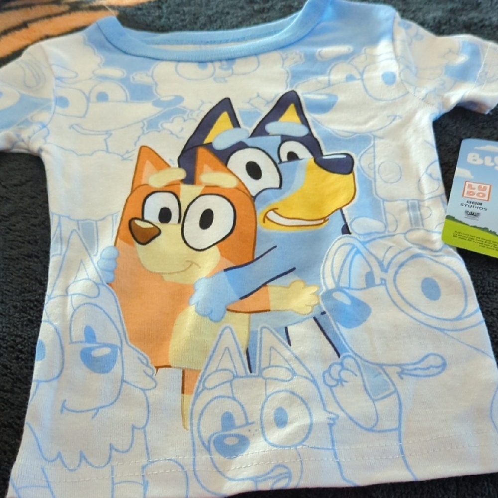 Bluey Kids Matching Set - Blue and Orange Girls Or Boys SALE 2tshirts   2 pants
